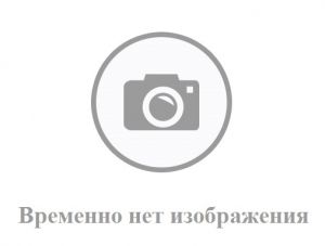 Блок проявки Konica Minolta A4EUR70311